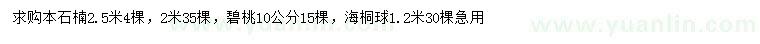 求购本石楠、碧桃、海桐球