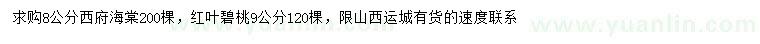 求购8公分西府海棠、9公分红叶碧桃