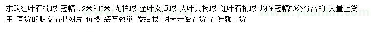 求购红叶石楠球、龙柏球、金叶女贞球等