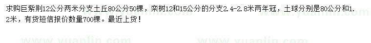 求购12公分巨紫荆、12、15公分栾树