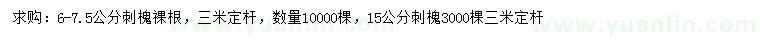 求购6-7.5、15公分刺槐