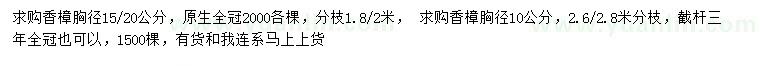 求购胸径10、15、20公分香樟