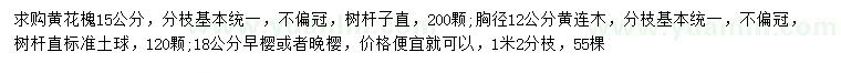 求购黄花槐、黄连木、早樱等