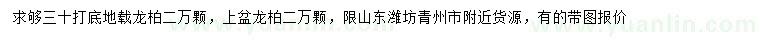 求购30公分龙柏、上盆龙柏