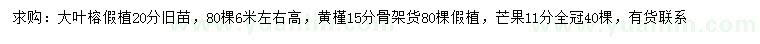 求购大叶榕、黄槿、芒果