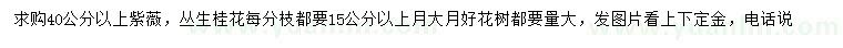 求购40公分以上紫薇、丛生桂花