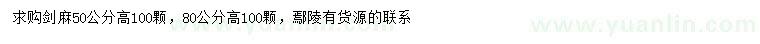 求购高50、80公分剑麻