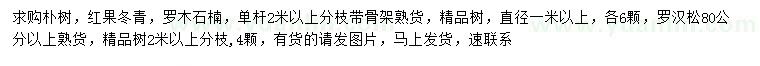 求购朴树、红果冬青、罗木石楠等