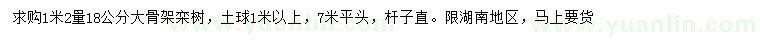 求购1.2米量18公分栾树