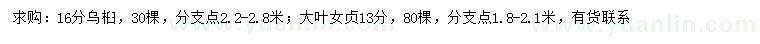 求购16公分乌桕、13公分大叶女贞