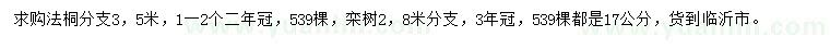 求购17公分法桐、栾树