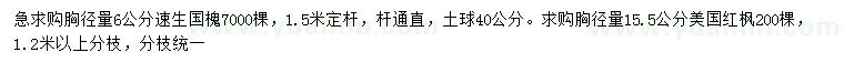 求购胸径量6公分速生国槐、15.5公分美国红枫