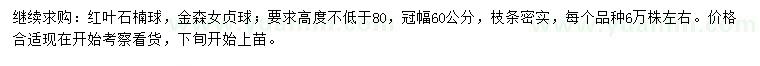 求购高80公分以上红叶石楠球、金森女贞球