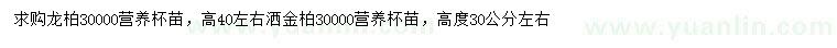 求购高40左右龙柏、30公分左右洒金柏