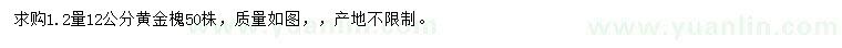 求购1.2米量12公分黄金槐