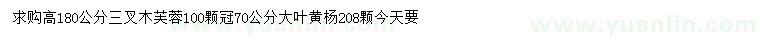 求购高180公分木芙蓉、70公分大叶黄杨