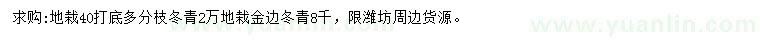 求购40公分冬青、金边冬青