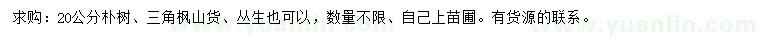 求购20公分朴树、三角枫