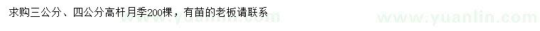 求购3、4公分高杆月季