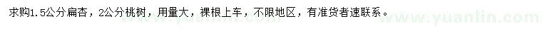 求购1.5公分扁杏、2公分桃树