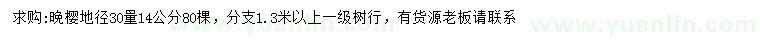 求购地径30公分量14公分晚樱