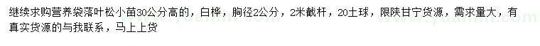 求购高30公分落叶松、胸径2公分白桦