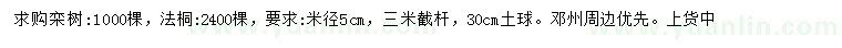 求购米径5公分栾树、法桐