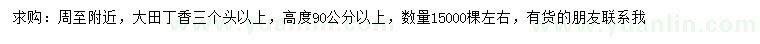 求购高90公分以上大田丁香