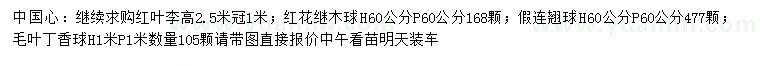 求购红叶李、红花继木、假连翘球等