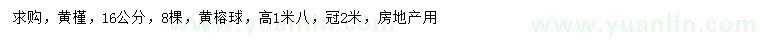 求购16公分黄槿、高1.8米黄榕球