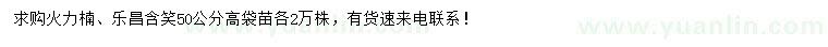 求购高50公分火力楠、乐昌含笑