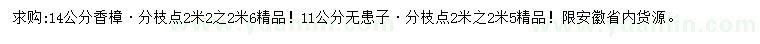 求购14公分香樟、11公分无患子