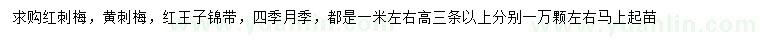 求购红刺梅、黄刺梅、红王子锦带等