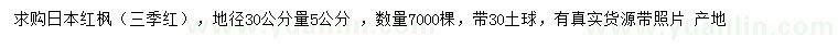 求购地径30公分量5公分日本红枫（三季红）