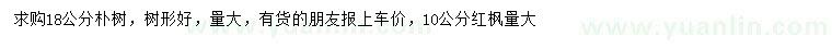 求购18公分朴树、10公分红枫