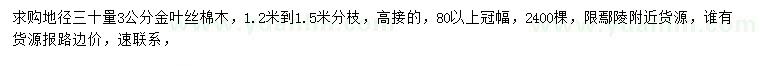 求购地径30量3公分金叶丝棉木