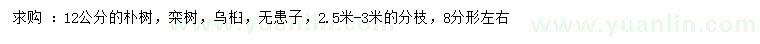 求购朴树、栾树、乌桕等