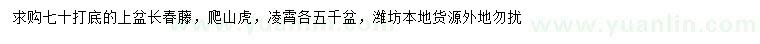 求购长春藤、爬山虎、凌霄