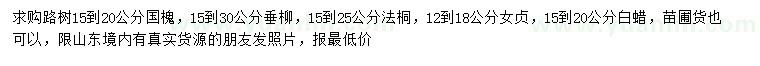 求购国槐、垂柳、法桐等