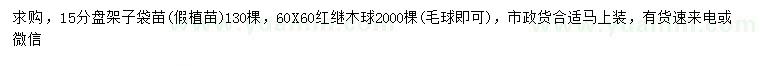 求购盆架子、红继木球