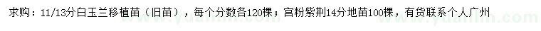 求购11、13公分白玉兰、14公分宫粉紫荆