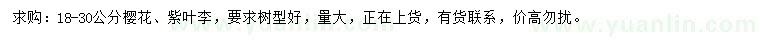 求购18-30公分樱花、紫叶李