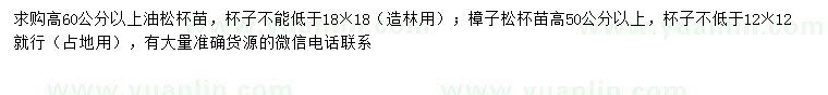 求购高60公分以上油松、50公分樟子松