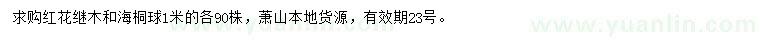 求购1米红花继木、海桐球