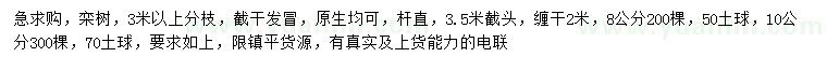 求购8、9、10公分栾树