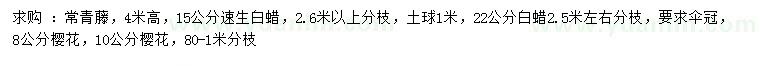 求购常青藤、速生白蜡、白蜡等