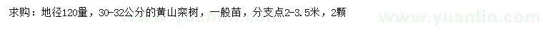 求购地径120公分量30-32公分黄山栾