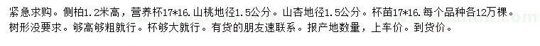 求购侧柏、山桃、山杏