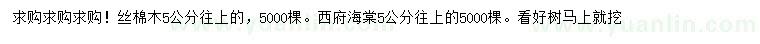 求购5公分以上丝棉木、西府海棠