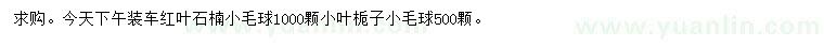 求购红叶石楠小毛球、小叶栀子小毛球